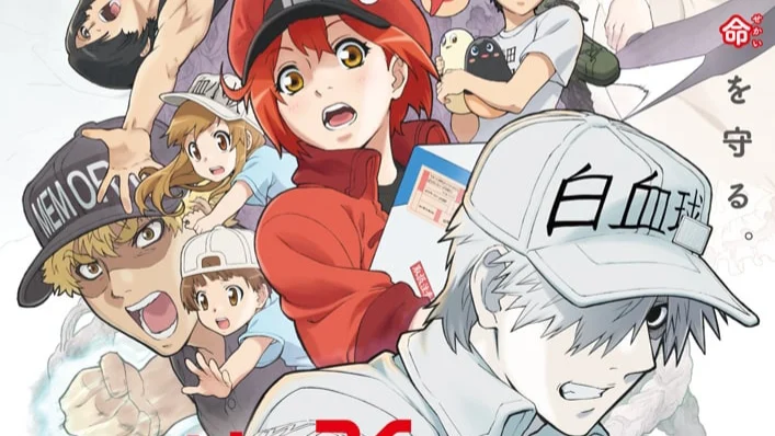 Akane Shimizu Ungkap Pengalaman Traumatis Saat Kerjakan Cells at Work! - RYGAMES