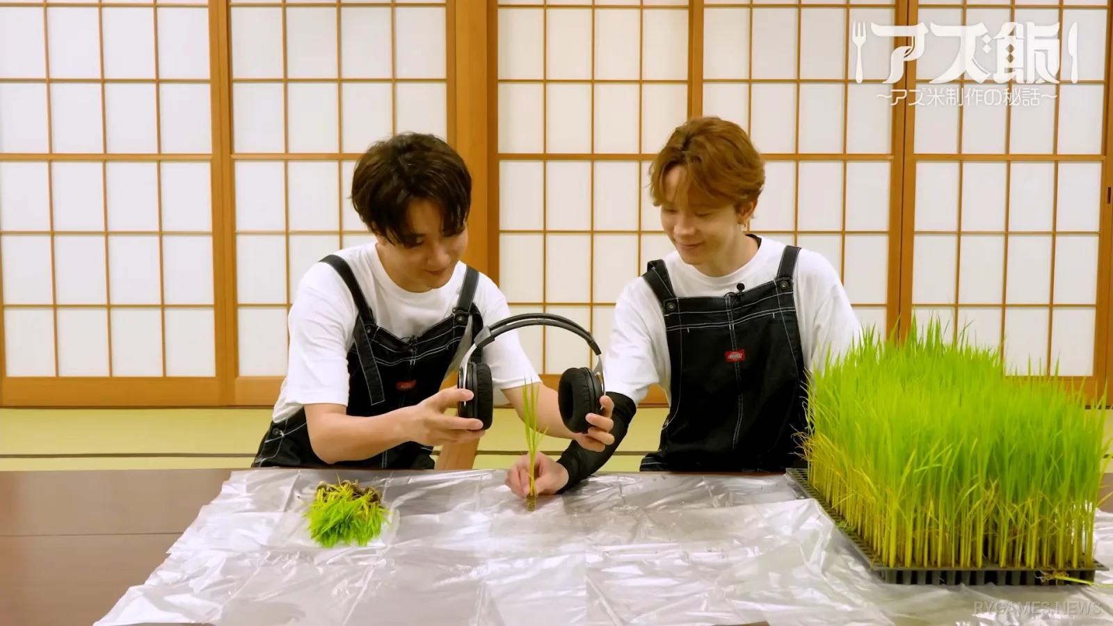 Azumeshi Gyaru ASMR Rice-Making Documentary - gambar 4