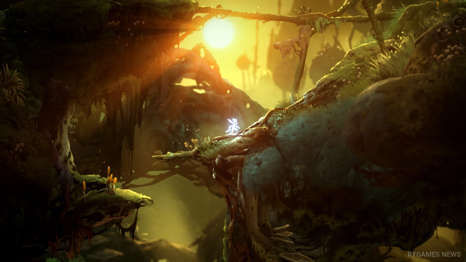 Screenshot gameplay Ori and the Will of the Wisps dari Steam - gambar 8