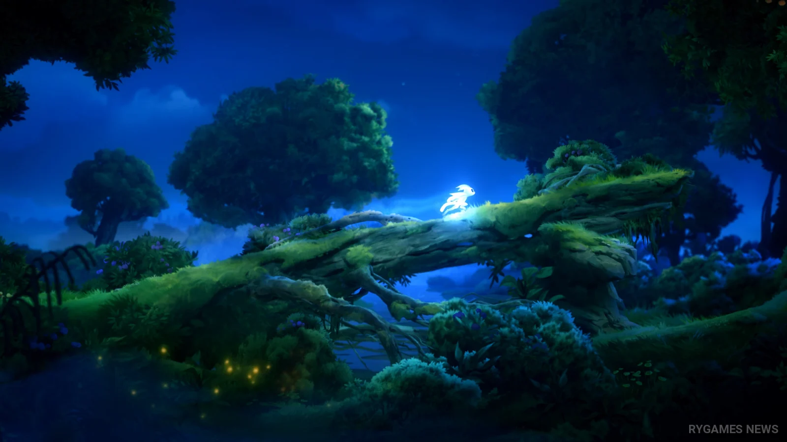Screenshot gameplay Ori and the Will of the Wisps dari Steam - gambar 7