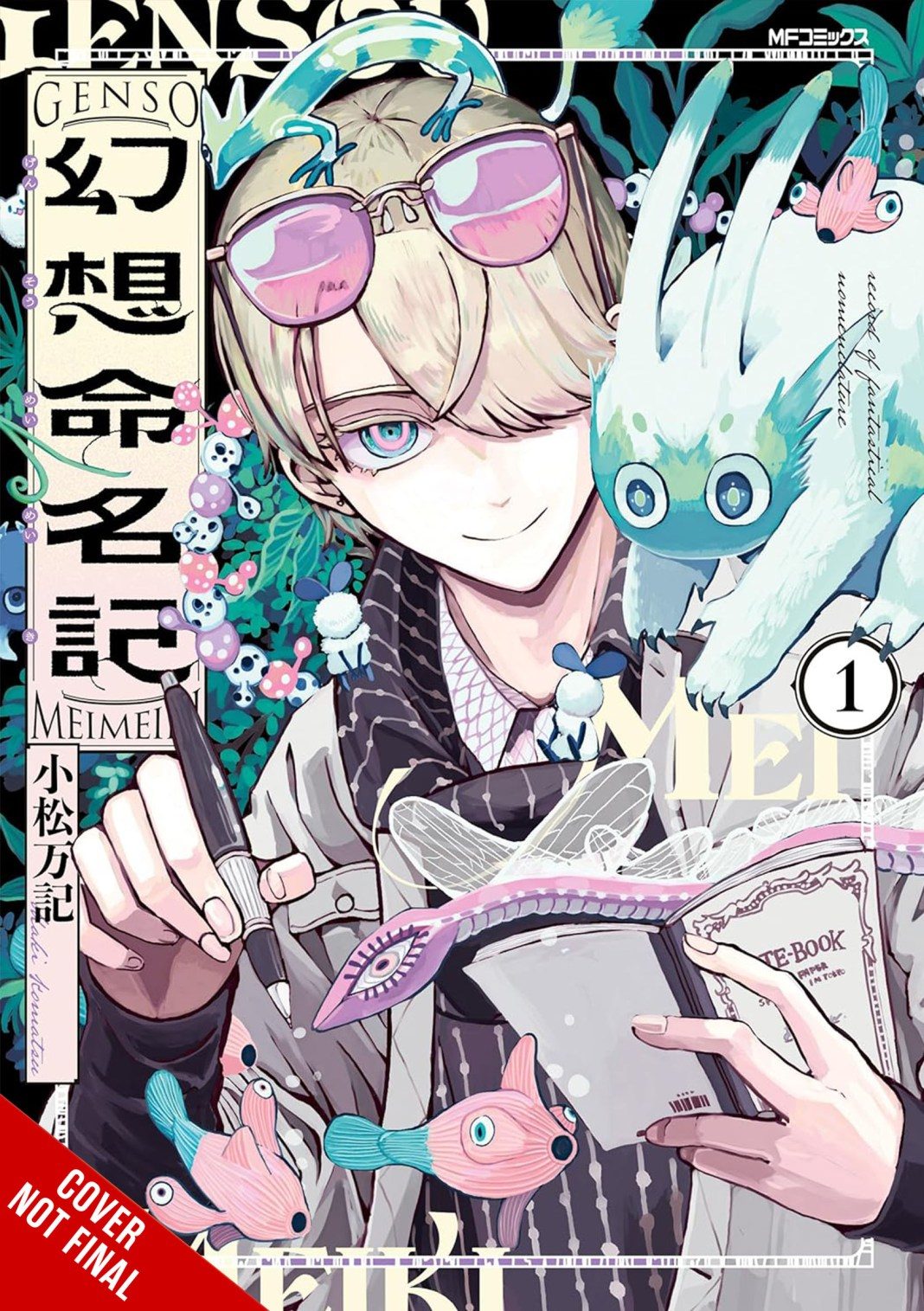 Visual / cover The Record of Fantastical Nomenclature