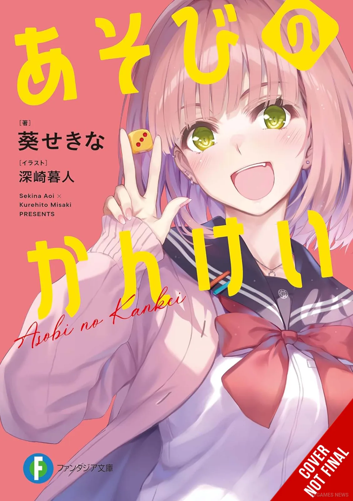 Cover light novel volume 1