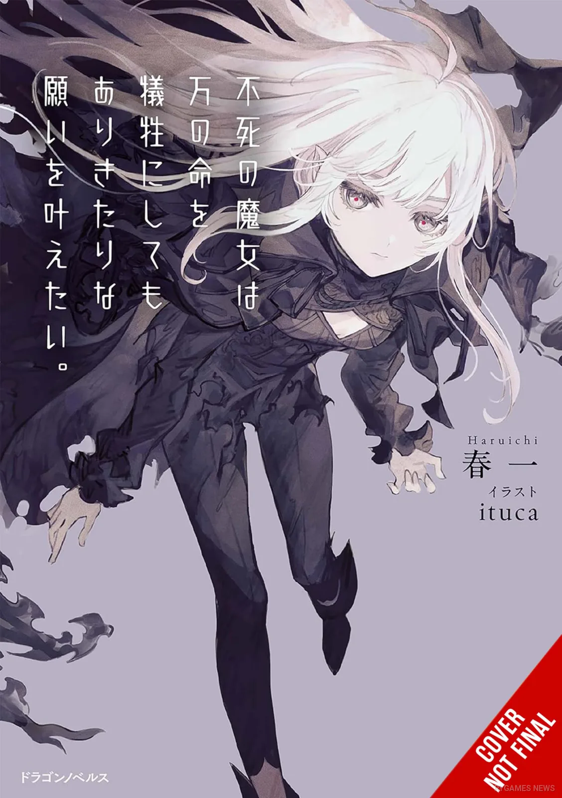Cover light novel volume 1